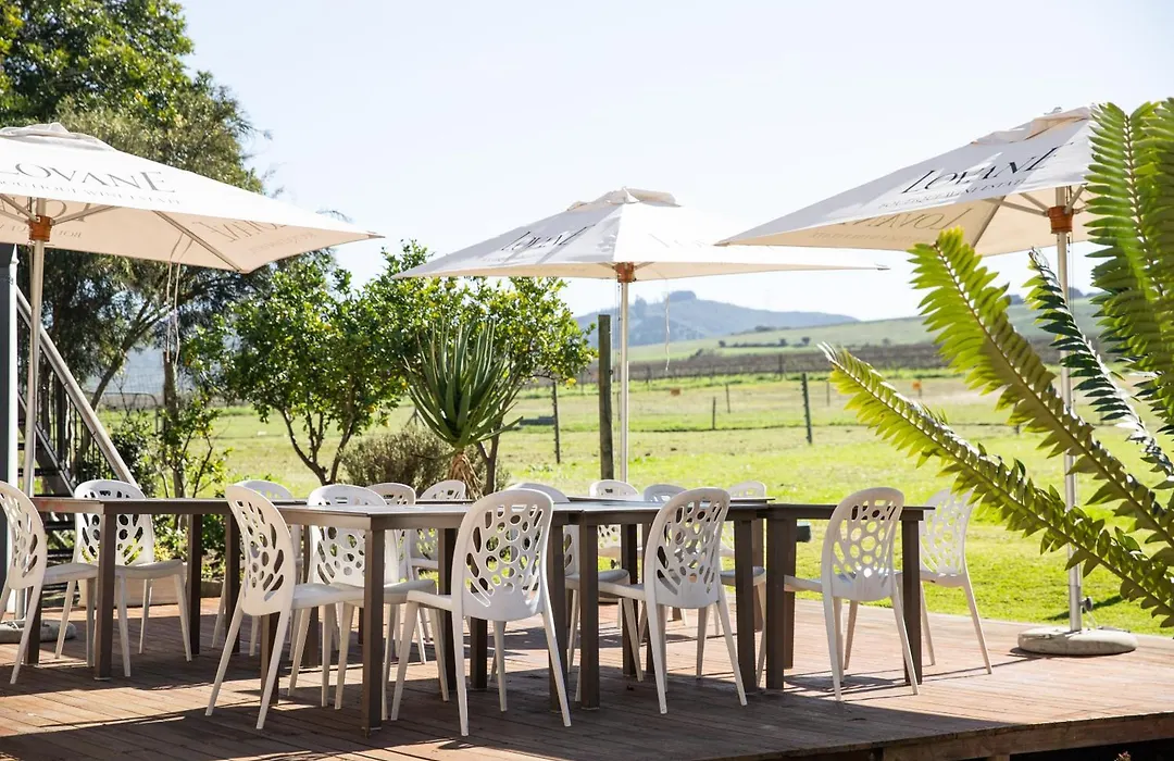Lovane Boutique Wine Estate And Guesthouse-1