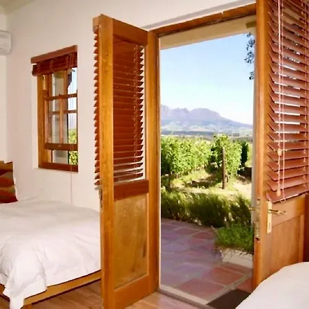 Lovane Boutique Wine Estate And Guesthouse-3